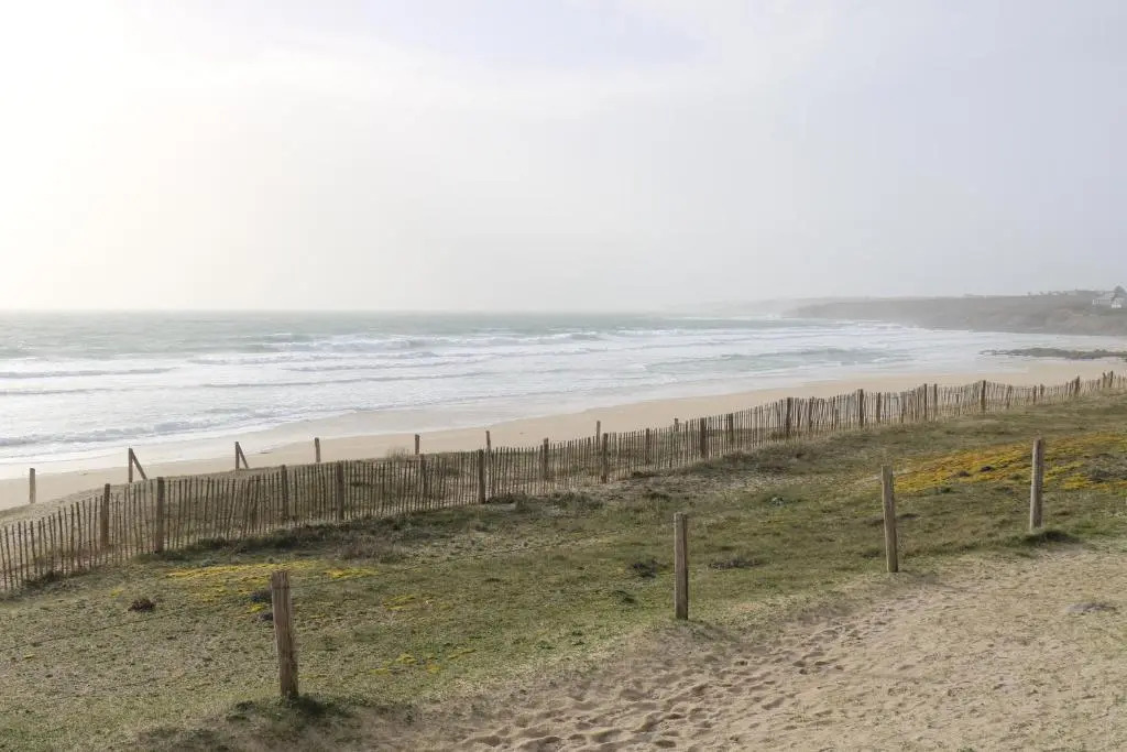 Ty Point Break 29
