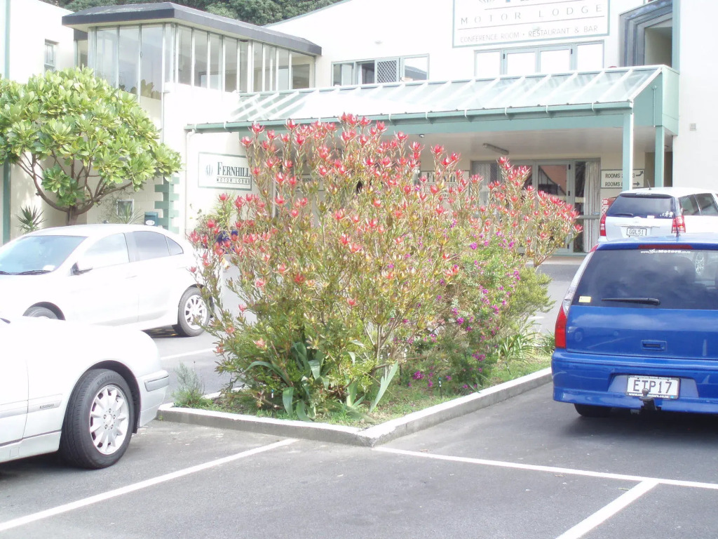 Fernhill Motor Lodge