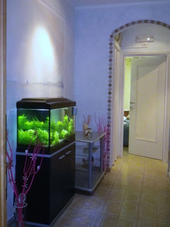 Elisart Guest House