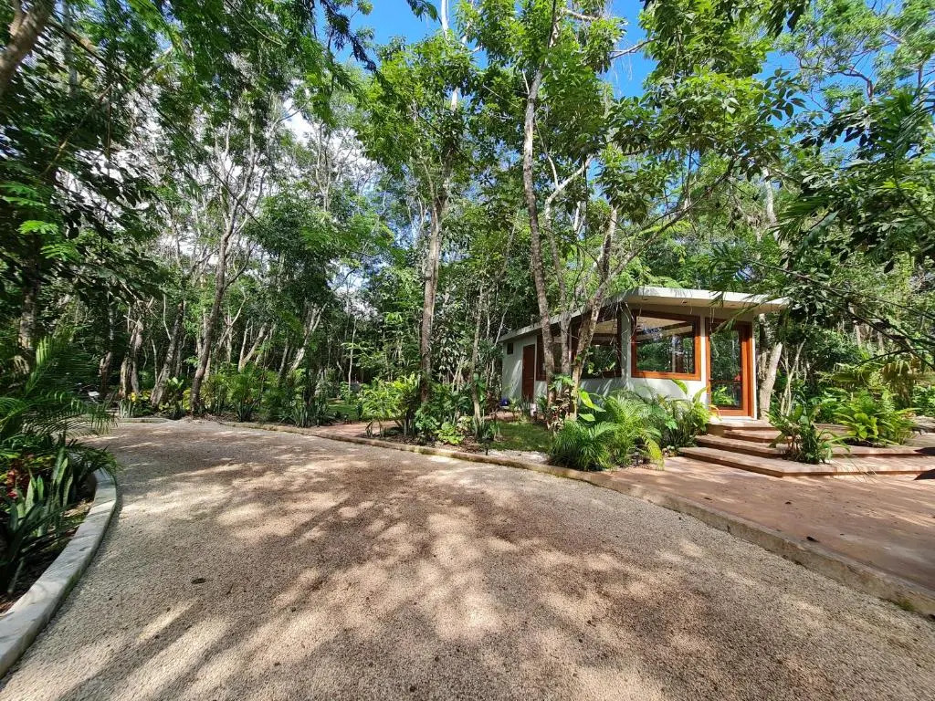 Secret Gardens Bacalar Suite 02 con alberca y bicicletas