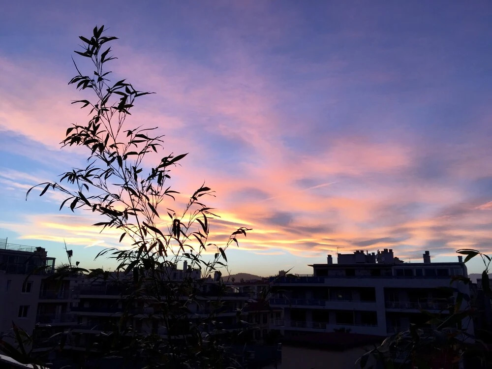 Penthouse Antibes City Centre/Beach