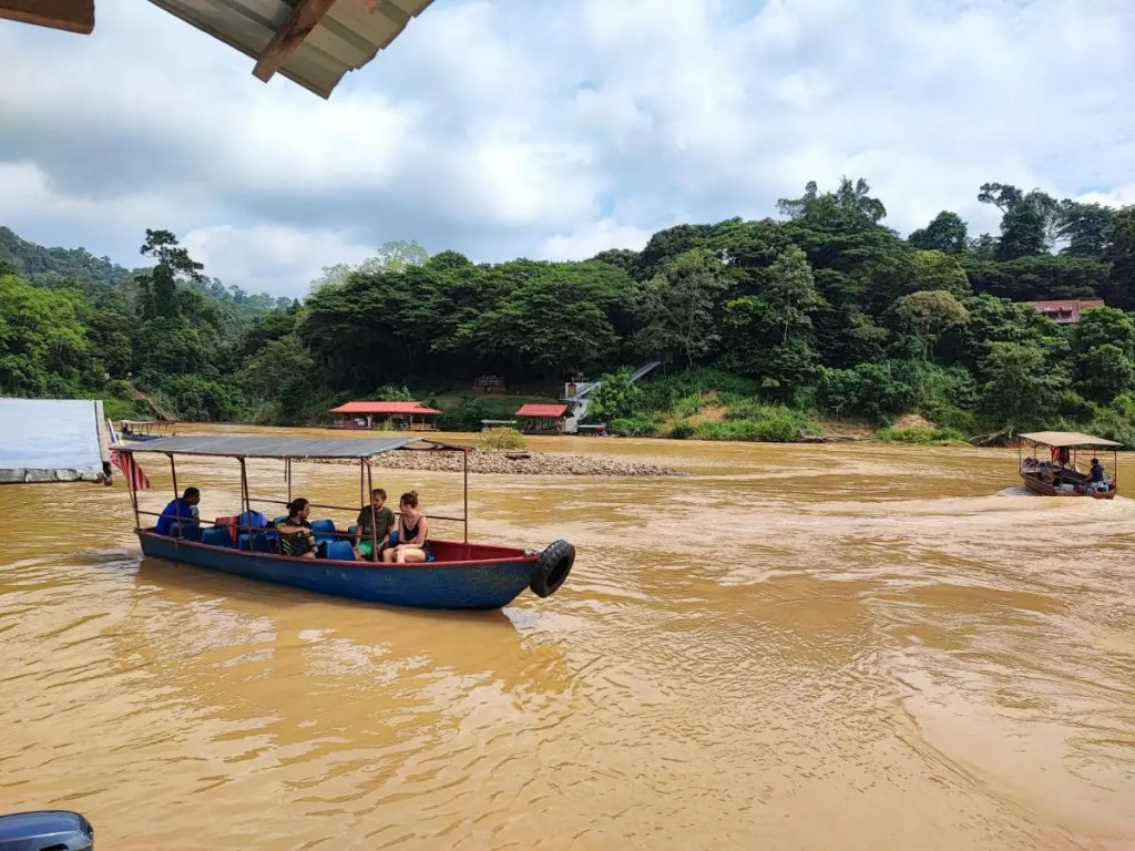 Tekoma Resort Taman Negara