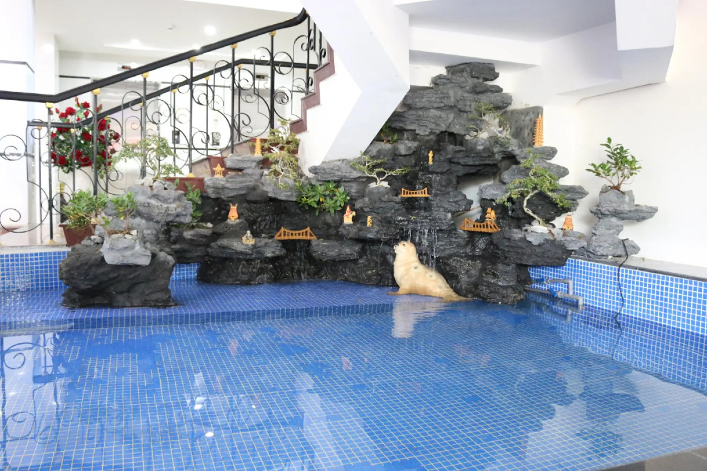Sao Mai Hotel