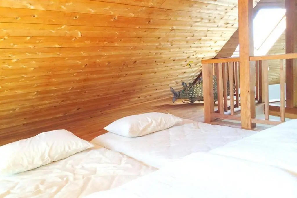 Woody house