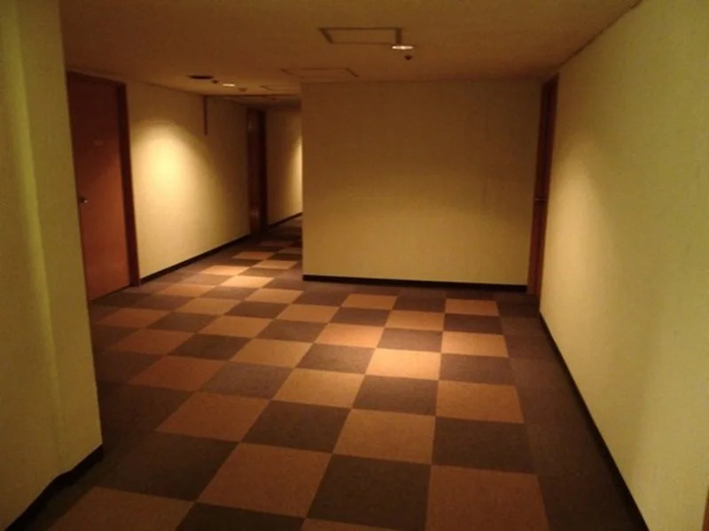 Hotel Wakow