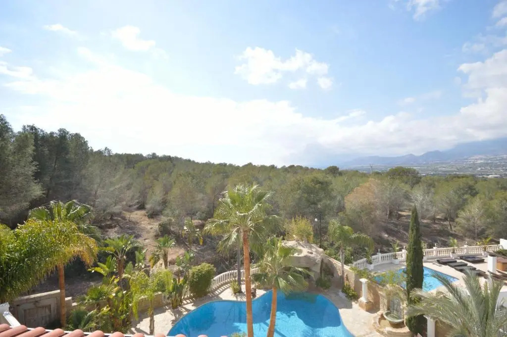 Albir Amarilla