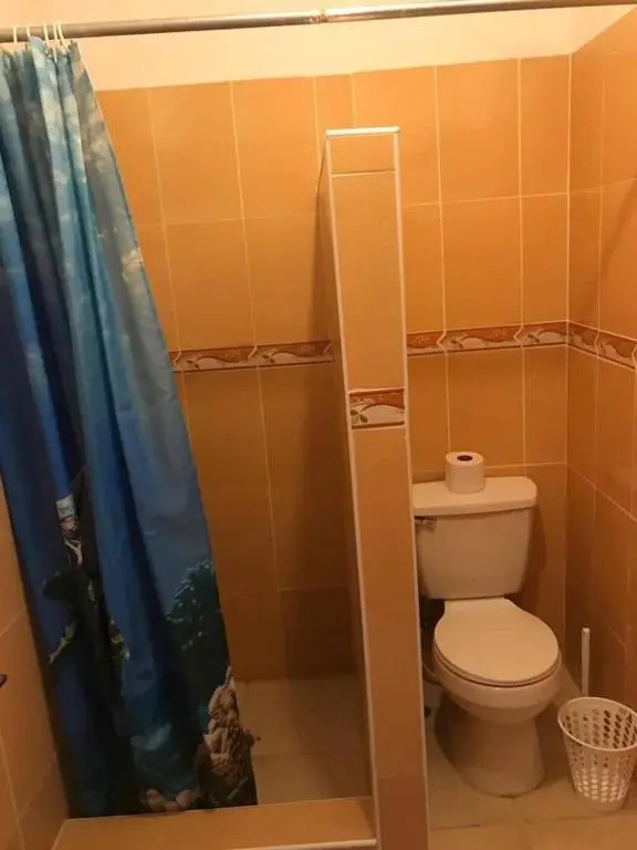 Sunny Apartment
