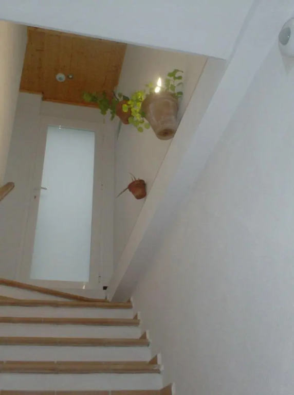 Rocio Rooms