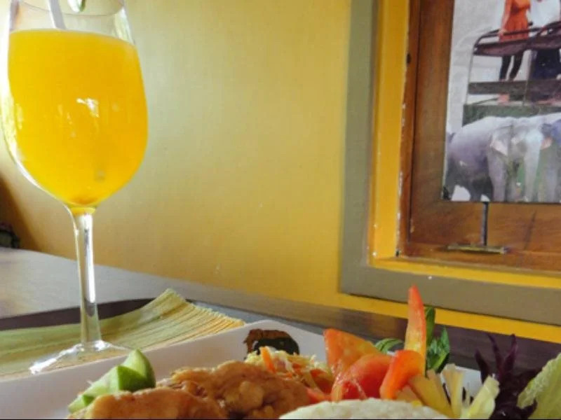 Elephant Safari Hotel