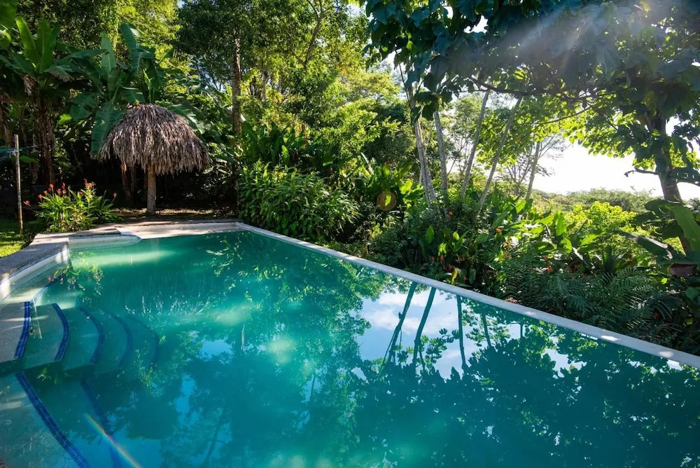 Jungle Lodge at Wild Sun Rescue Center