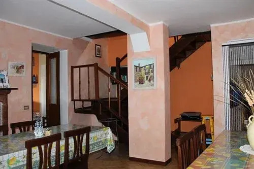 B&B Campino