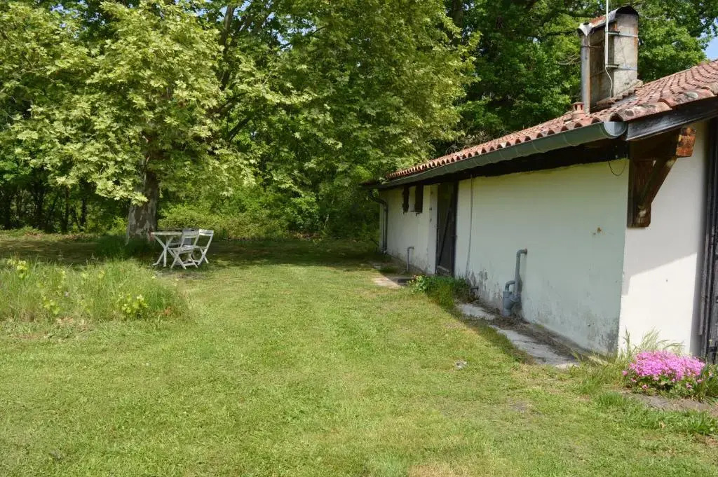 Cabane en forêt
