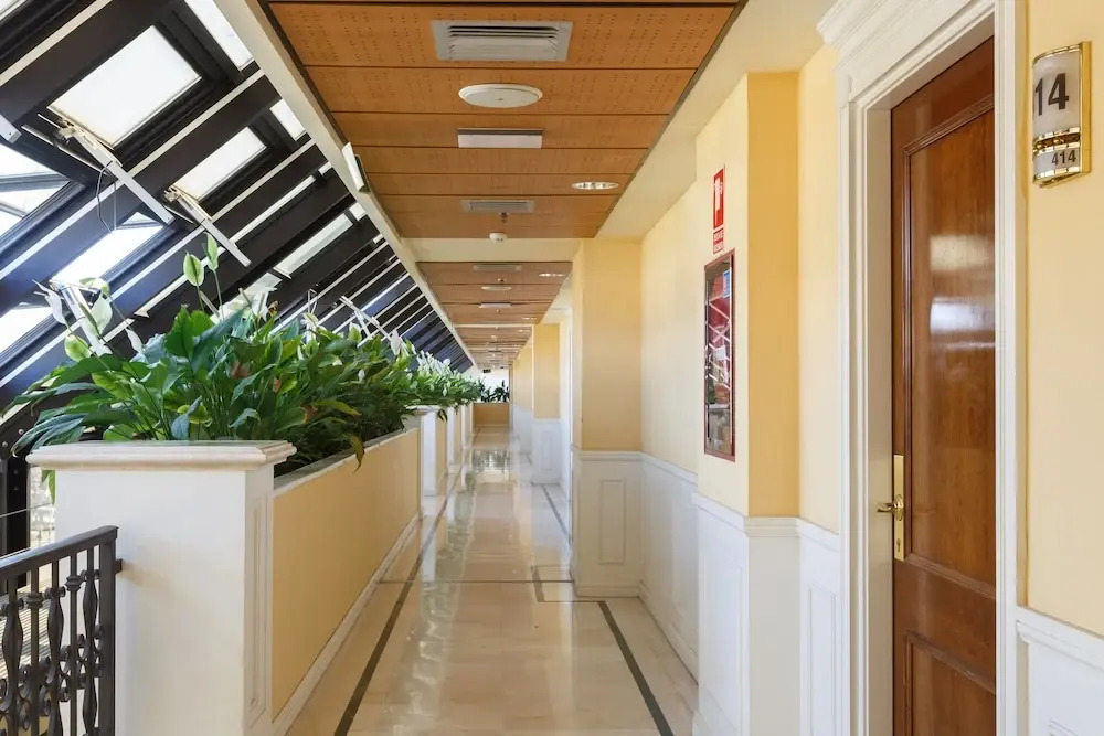 Apartamentos Guadalpin Suites