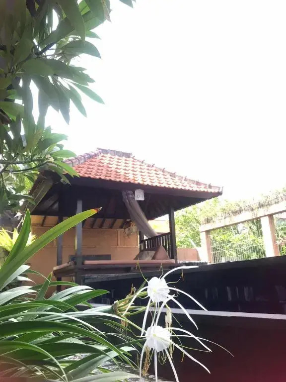 Leo home stay 2