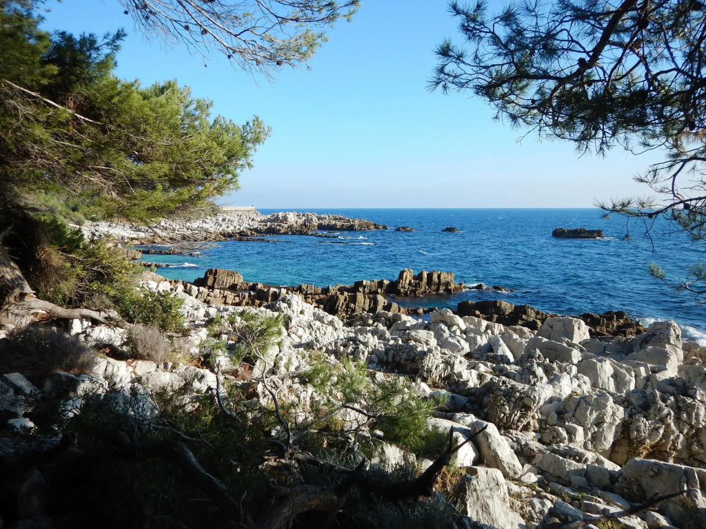 Hôtel Miramar Cap d'Antibes