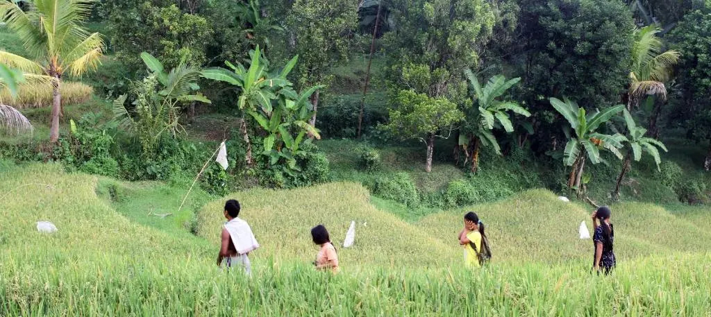 Yoga Homestay
