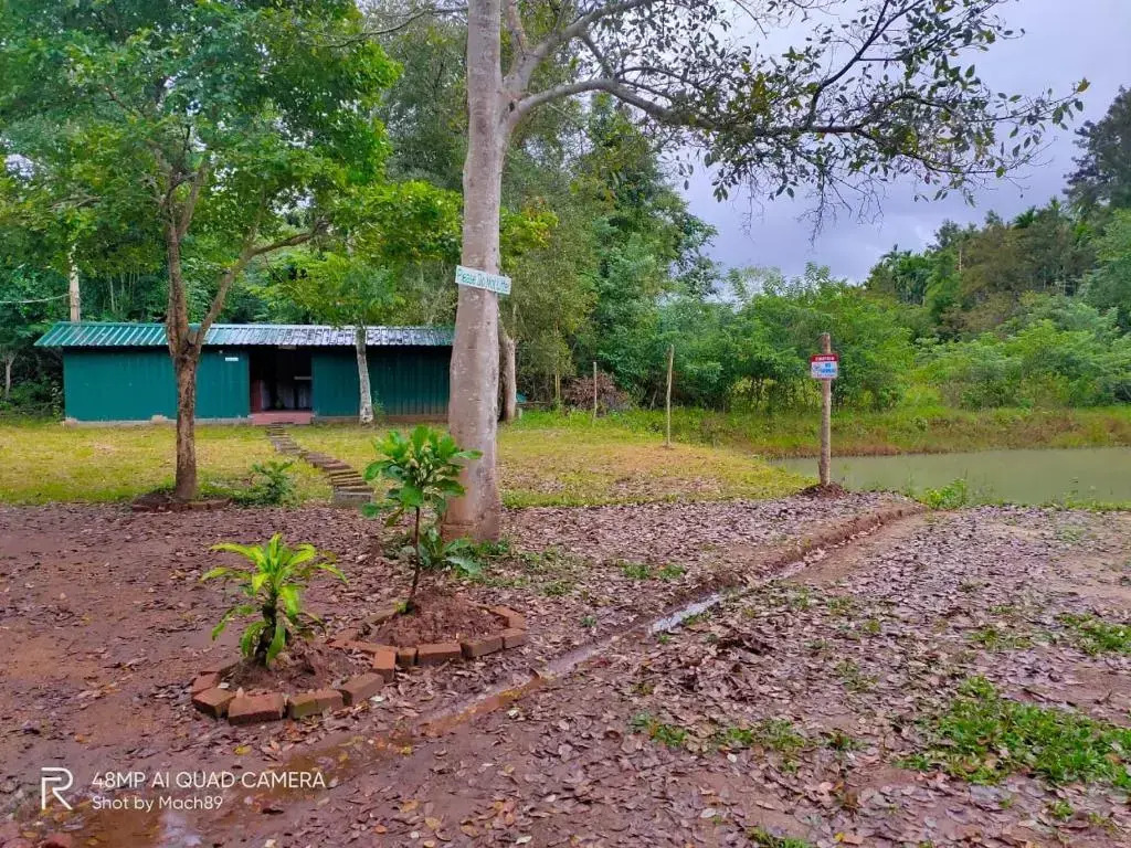 Shades Of Green - Camping Near Dubare