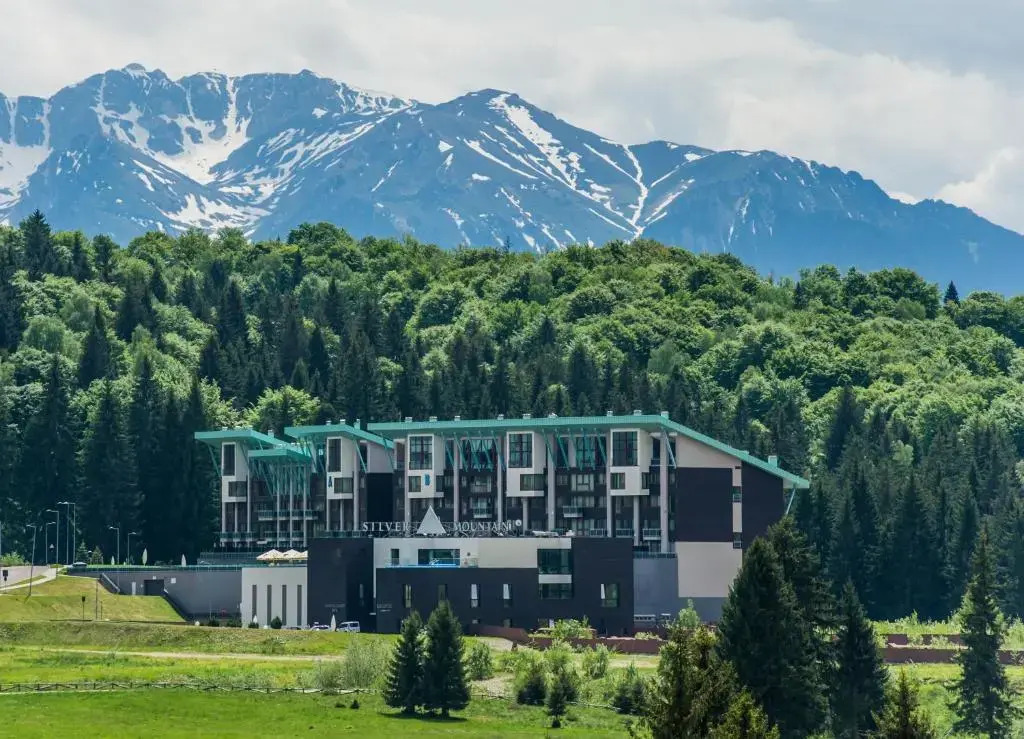 Timber view apartment Silver Mountain Poiana Brasov