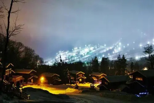 Chalet- 10 Chemin Alpin