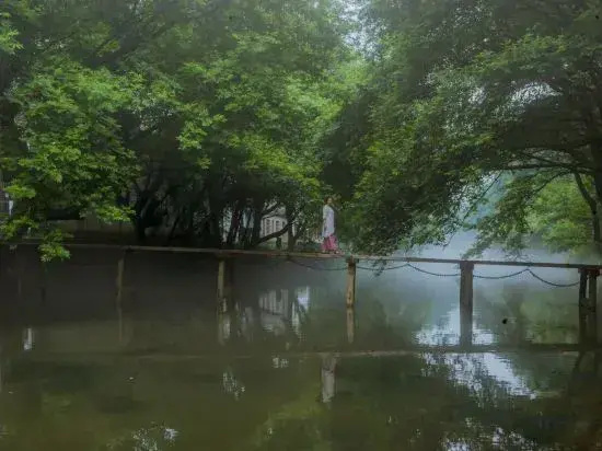Wangshan Life Fishing Snow Garden Natural Aesthetics Homestay (Huangshan Xixinan Ancient Village)
