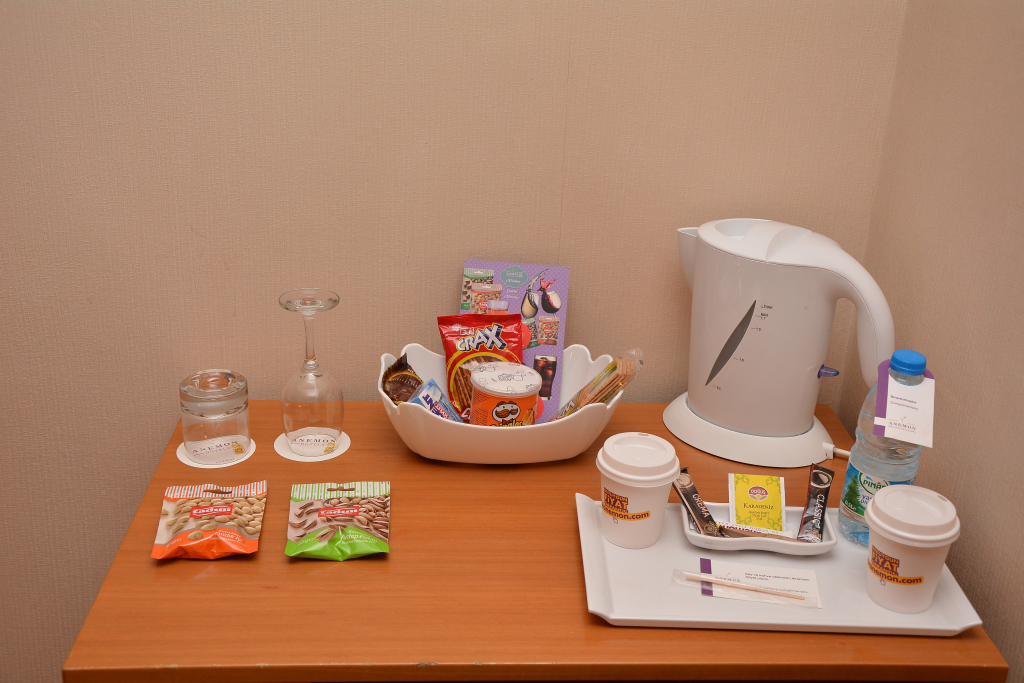 Anemon Kent Ege Otel
