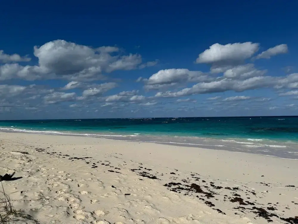 Cricket Beach House-luxurious Beachfront House 5 Bedroom Home