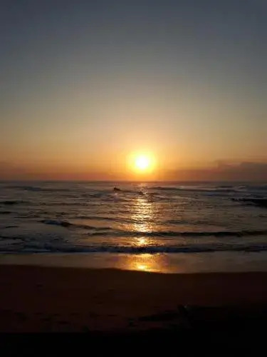 Shelly Beach Lodge
