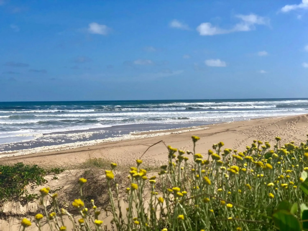 8 Settler Sands Beachfront Accommodation Sea View