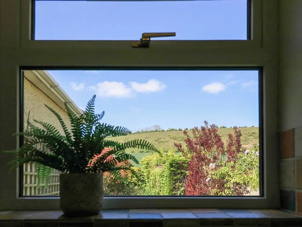 Downs View