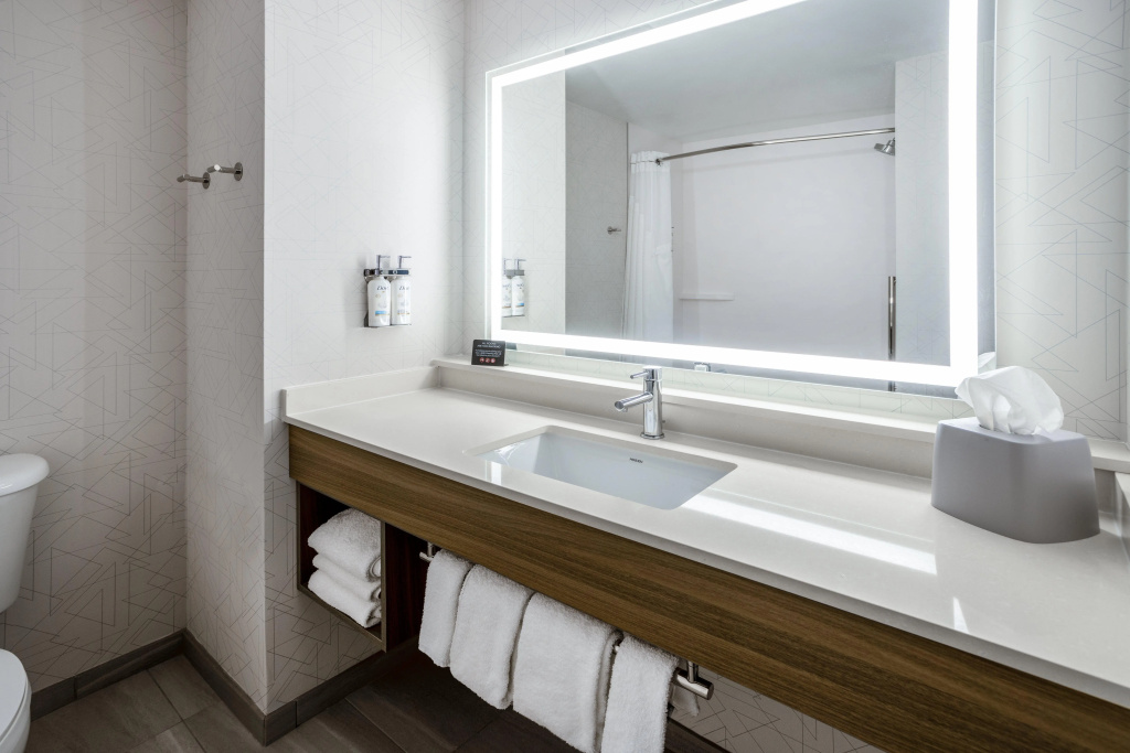 Holiday Inn Express Hotel & Suites New Tampa I-75 by IHG