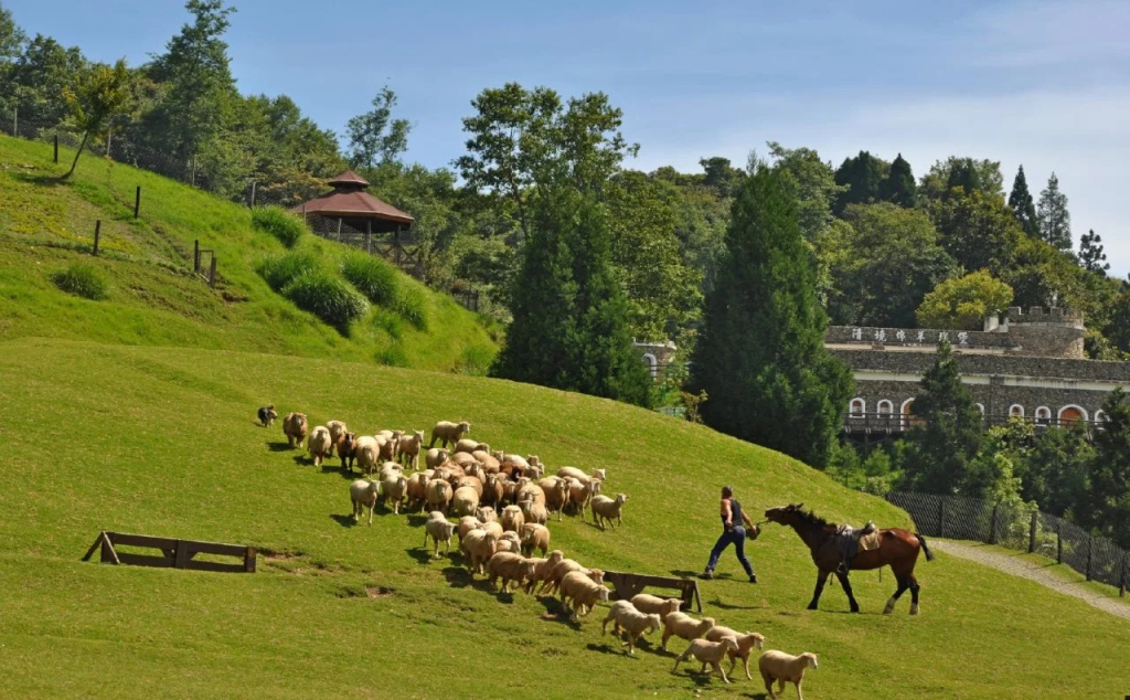 Yonghe Resort