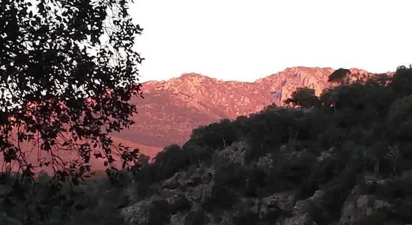 La Terneta