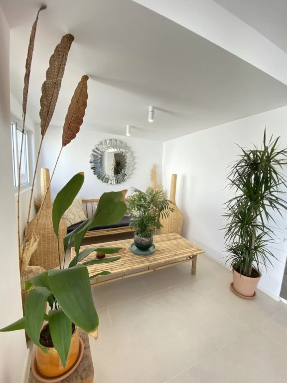 The Olive Boutique Suites & Spa