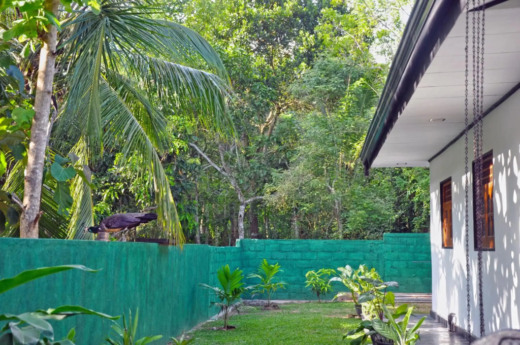Sunny Homestay