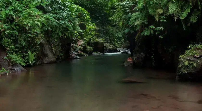 Bali Eco Adventure & Retreat Center