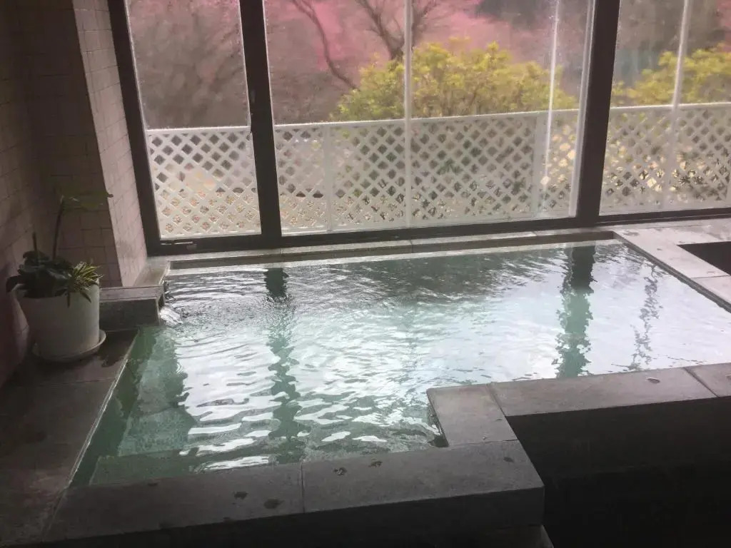 Hotel Tsuru