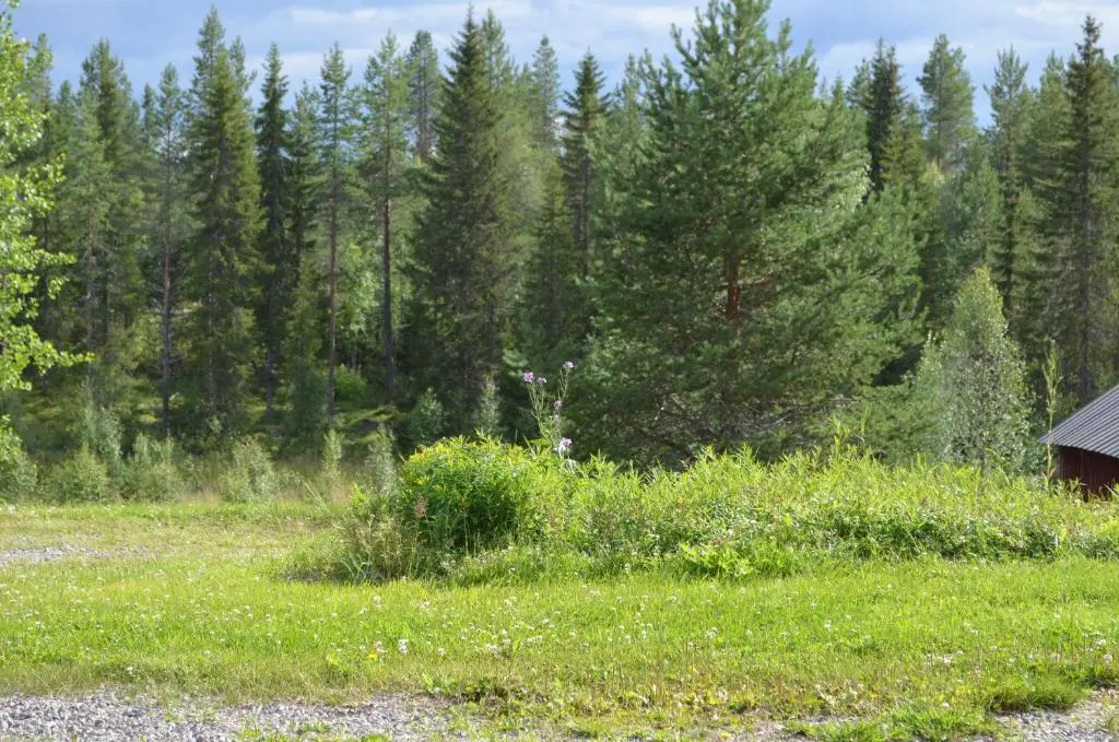 Sänkelä Cottage