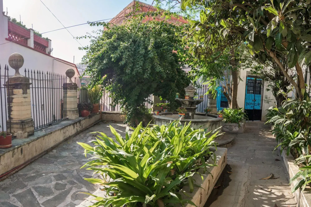 Casa Lupita Hostel
