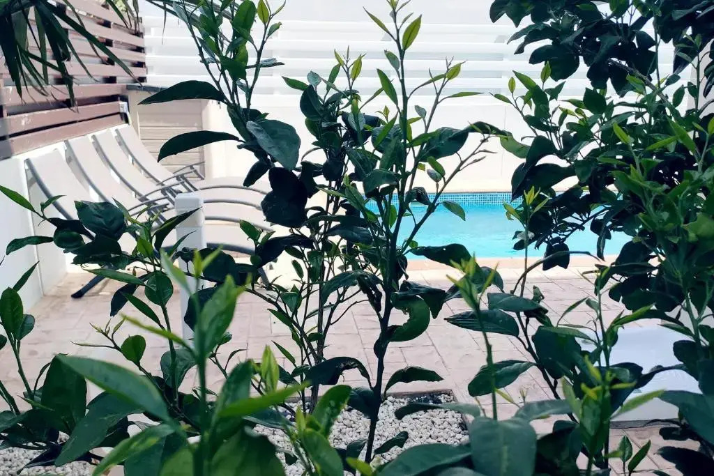 Nissini Shell, 3 bedroom villa with private pool at Nissi Beach