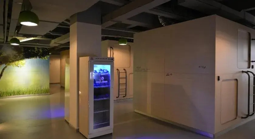 深圳栖游青年旅馆Shenzhen Xi You Hostel