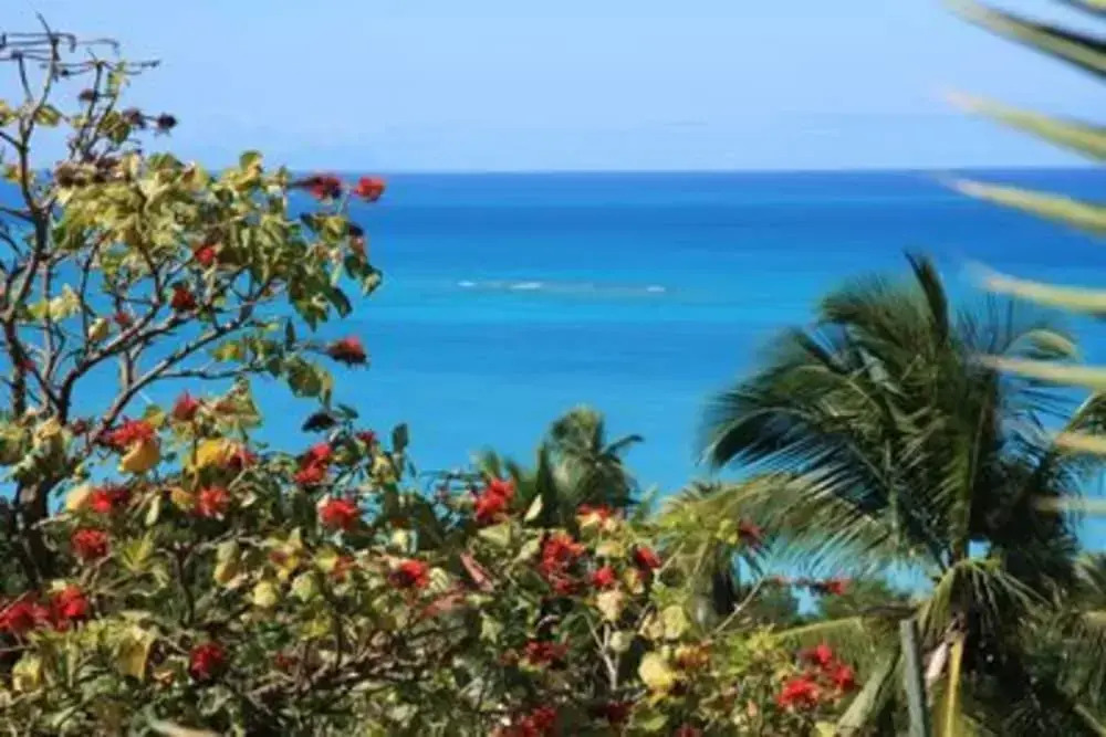2-bedroom Apartment With Seaviews