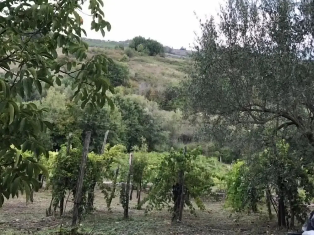 Antico Casale di Campagna