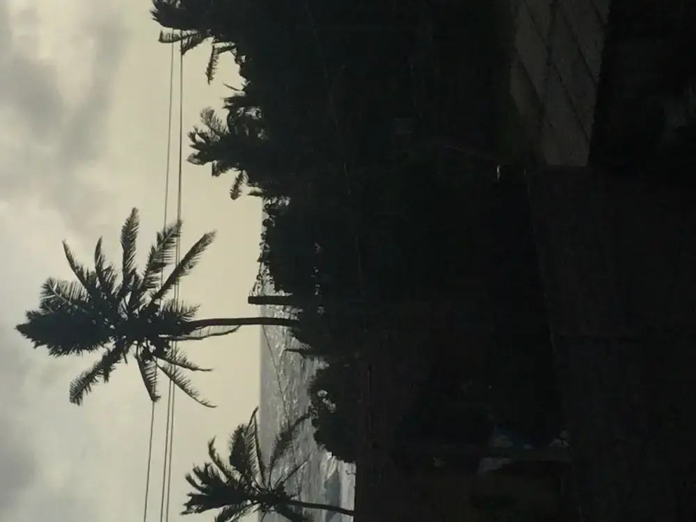 White baby beach rest