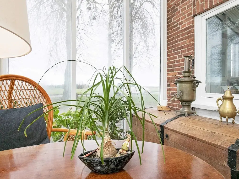 Garden-view Holiday Home in Funen With Terrace