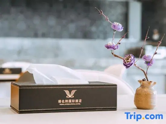 Vienna International Hotel (Kunming Xinluoshiwan South Bus and Subway Station)