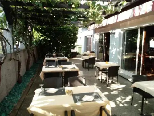 Hotel Federale Starna