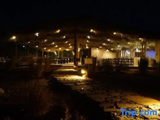 SAMA Ras Al Jinz Ecolodge