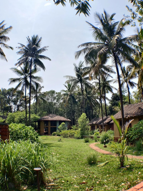 The Orchard Resort