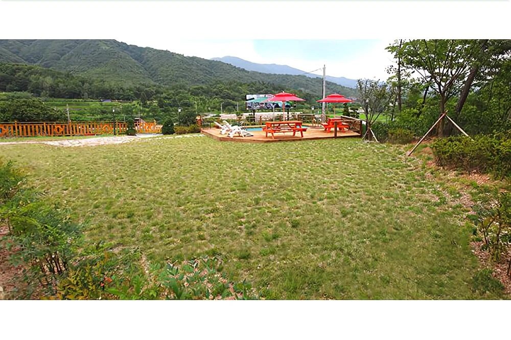 Gyeongju Bomun Happy Day Pension