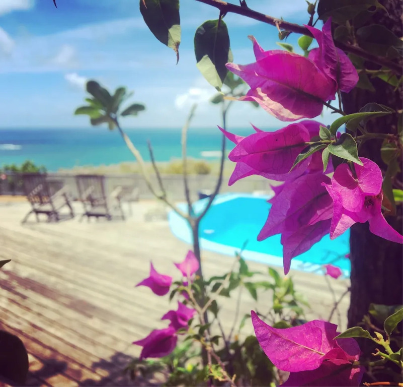 Blue Dream Antigua B&B